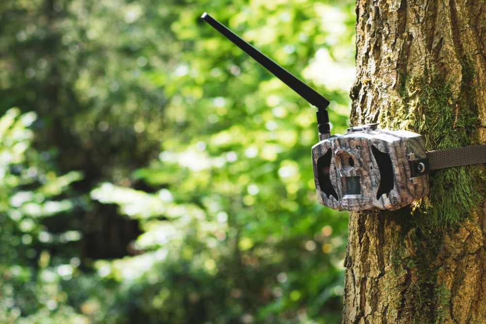 UK Stockists of a large range of wildlife camera traps and camera trap accessories. Trail camera and camera trap brands include Browning trial cameras, Reconyx, BolyGuard, Moultrie game cameras and Cuddeback trail cameras. Stocked in UK, shipped worldwide