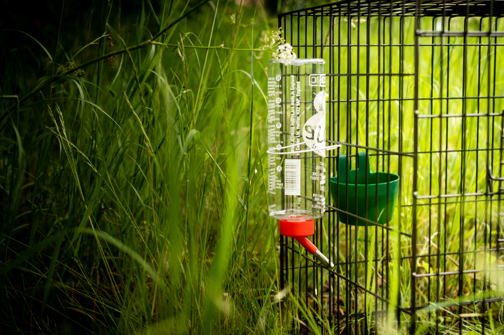 A comprehensive range of accessories for larsen cage traps to ensure they meet all legal requirements for use