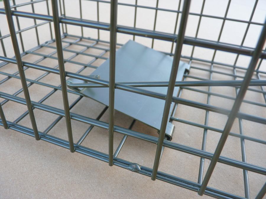 Treadle plate in set position on PERDIX Mink cage trap.