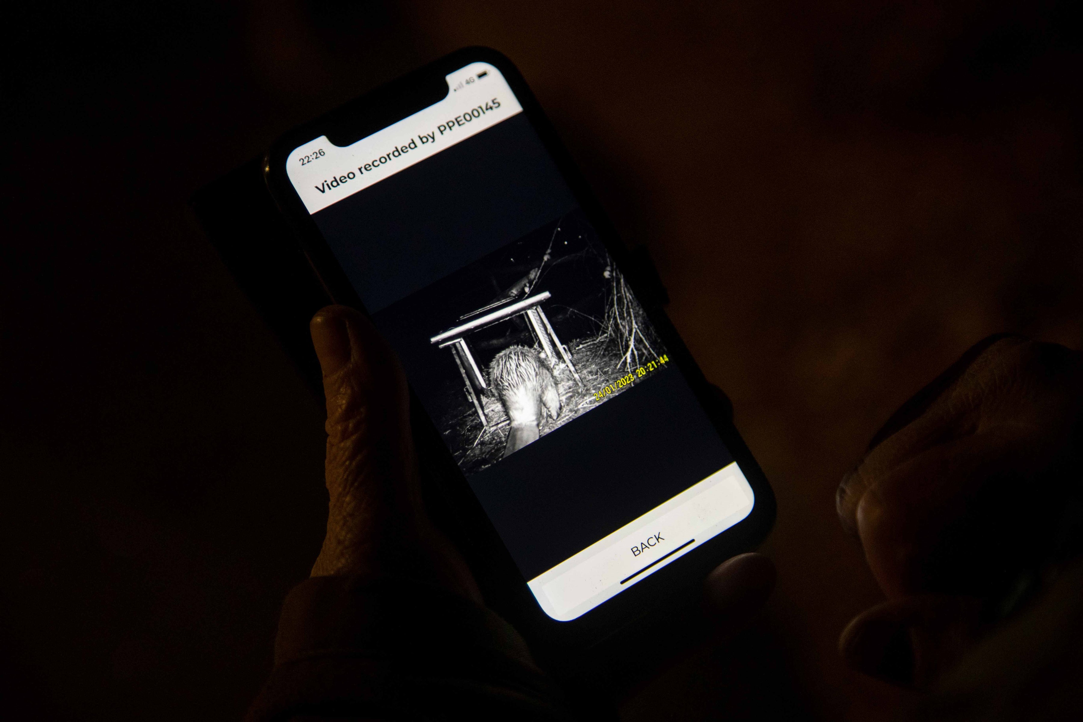 Trapping beavers using PerdixPro remote monitoring system — Perdix ...