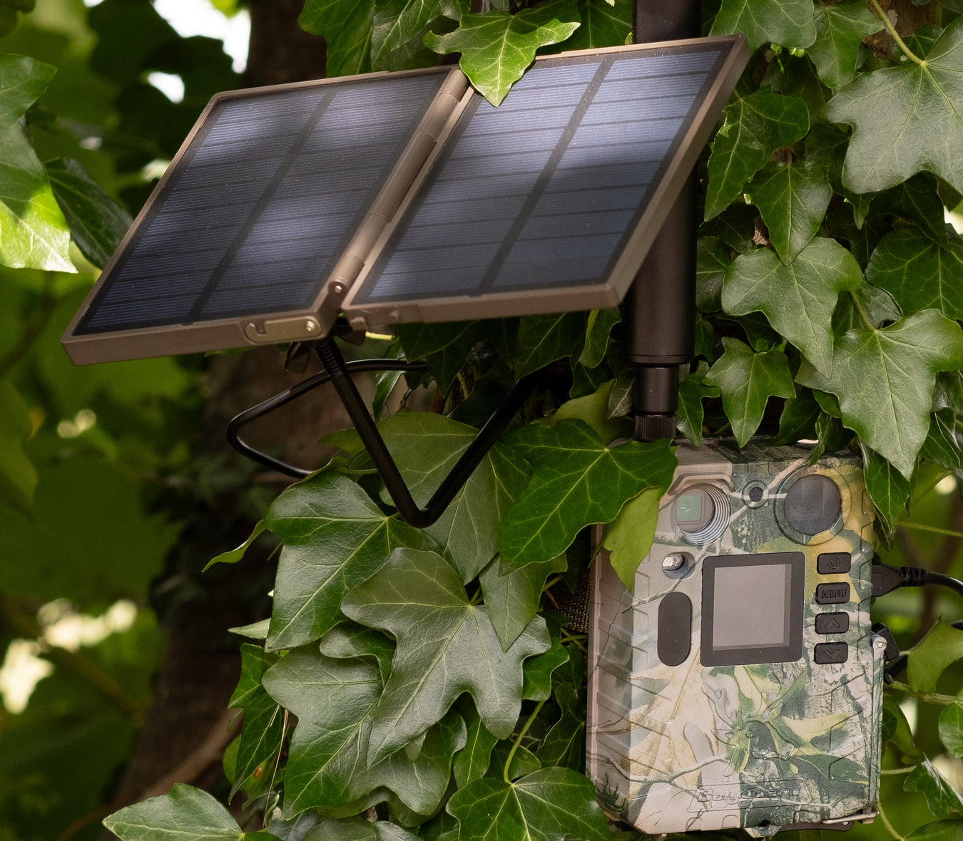 BolyGuard BG710-M 4G Camera with Solar Panel - PerdixPro Enabled