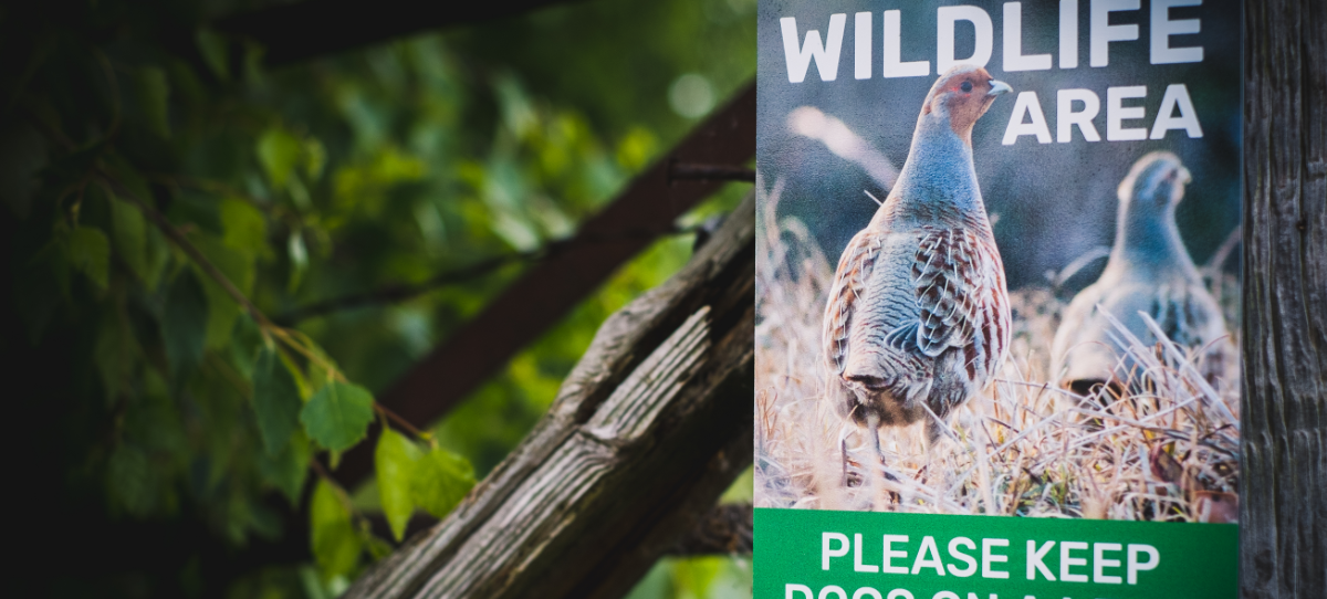 Conservation signs for use on farmland and other landscapes for the protection of farmland wildlife.  Signs can help prevent disturbance of wildlife particularly during the nesting season. 