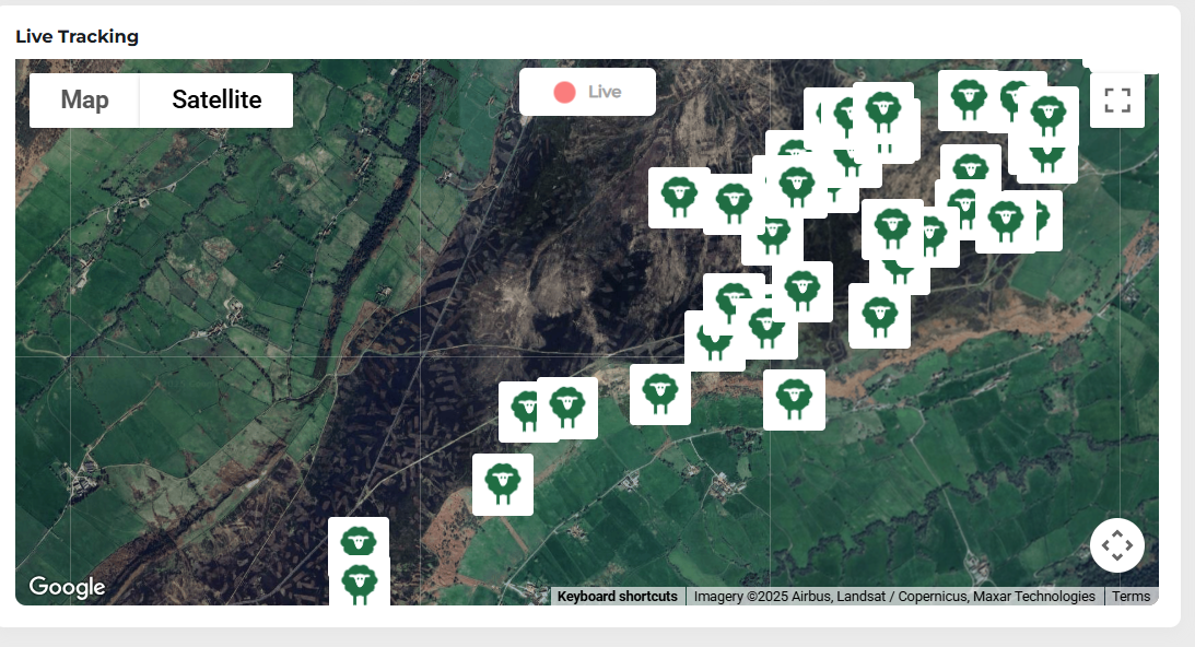 PERDIXPro 4G LPWA (LTE-M & NB-IOT) Small Tracking Tag