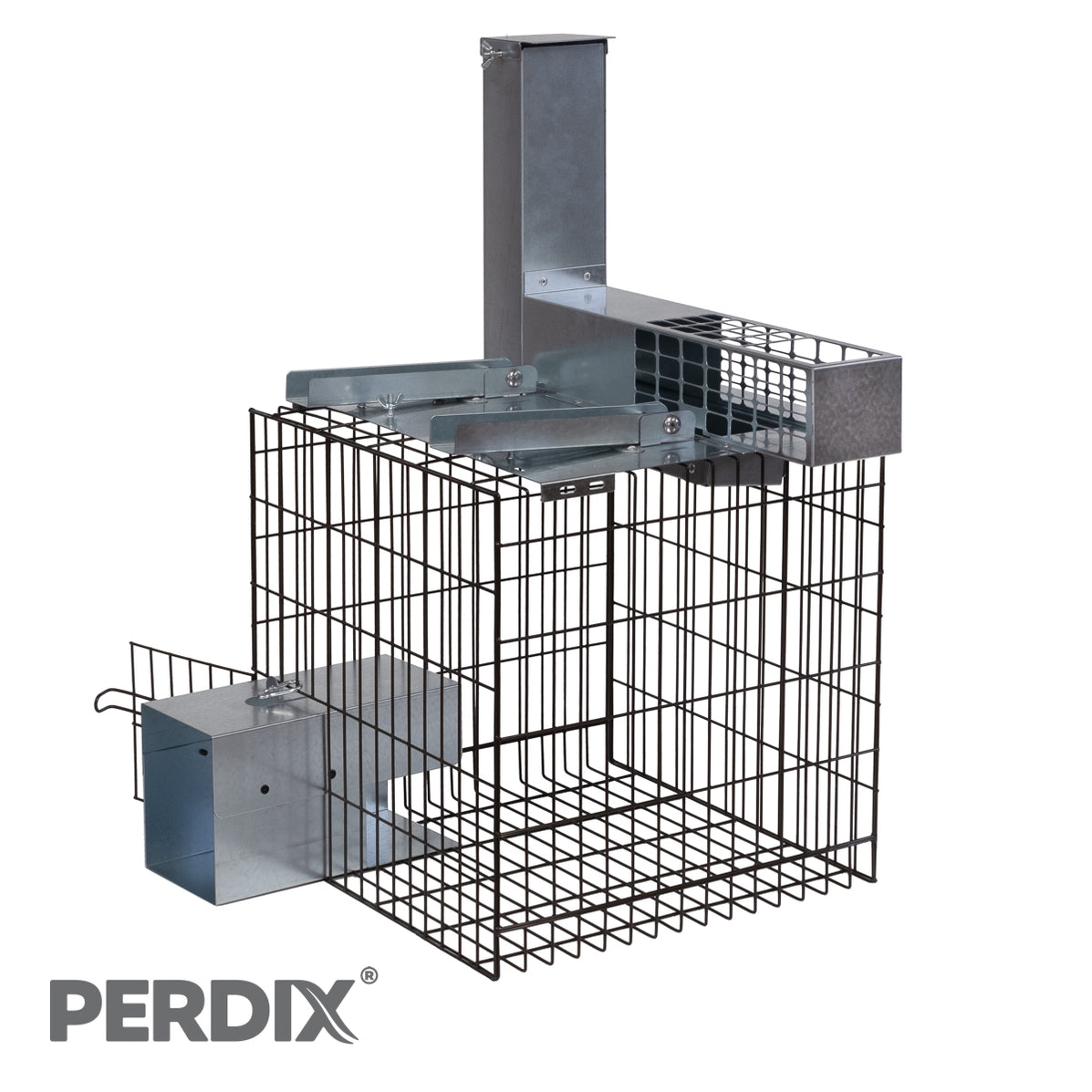 DS10 Multi-Catch Grey Squirrel Trap — Perdix Wildlife Supplies