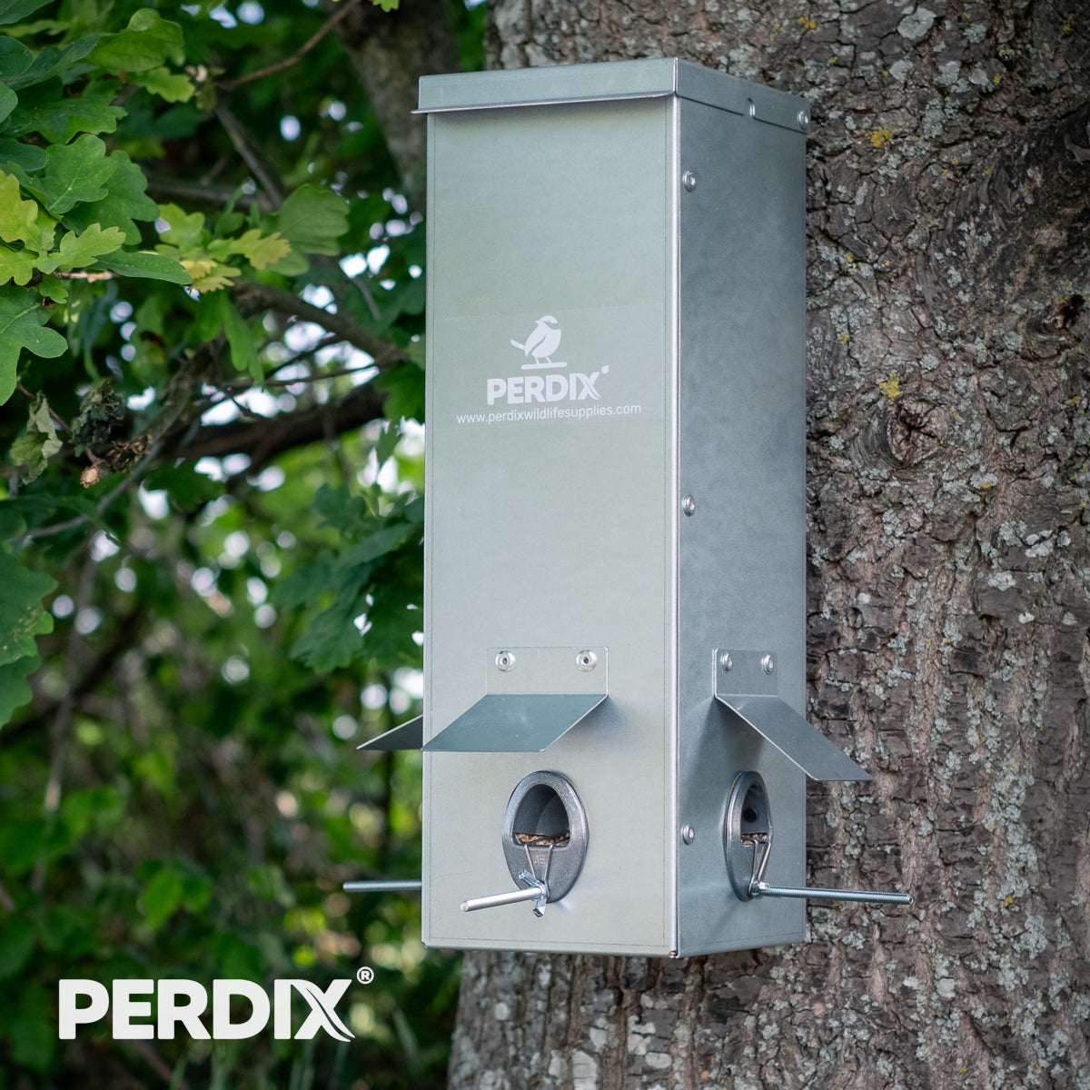 Supplemental Feeding