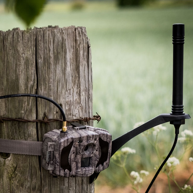 4G, 3G and 2G extension antennas for mobile and cellular enabled camera traps to increase signal strength in low signal environments 
