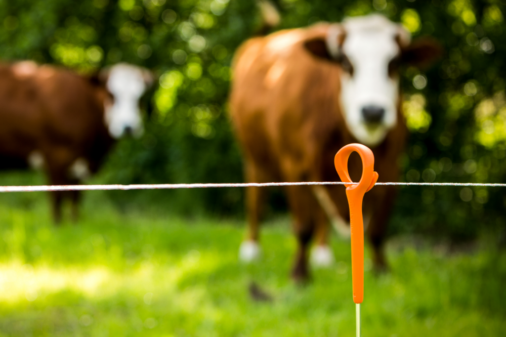 Wide range of electric fence posts for electric fencing around stock and wildlife areas.
