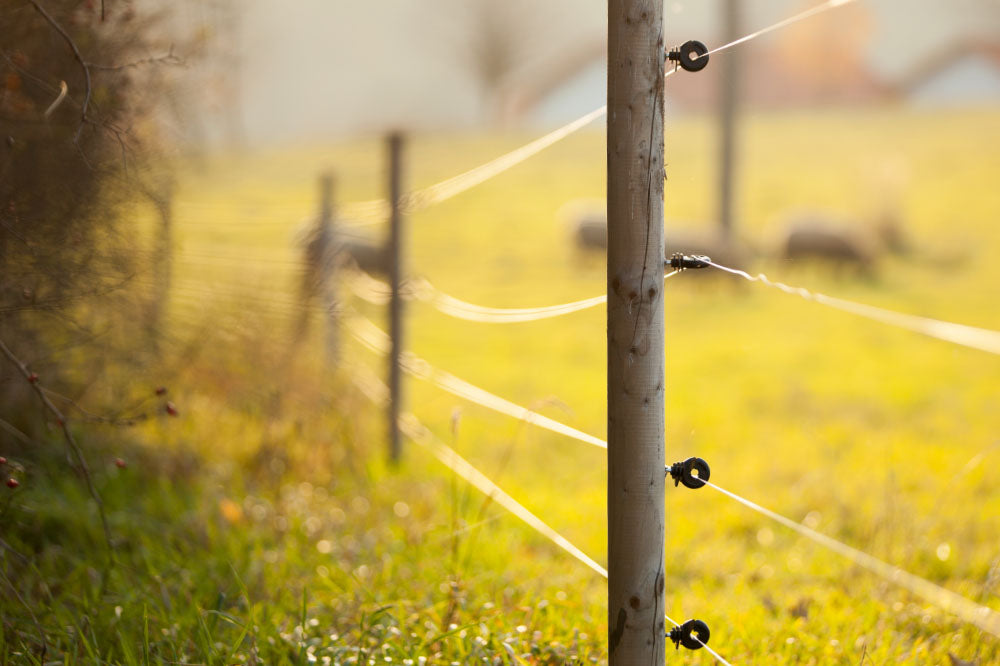 Electric Fencing Equipment for the protection of captive stock, including poultry, game birds and fish, and wild ground nesting birds, particularly waders.