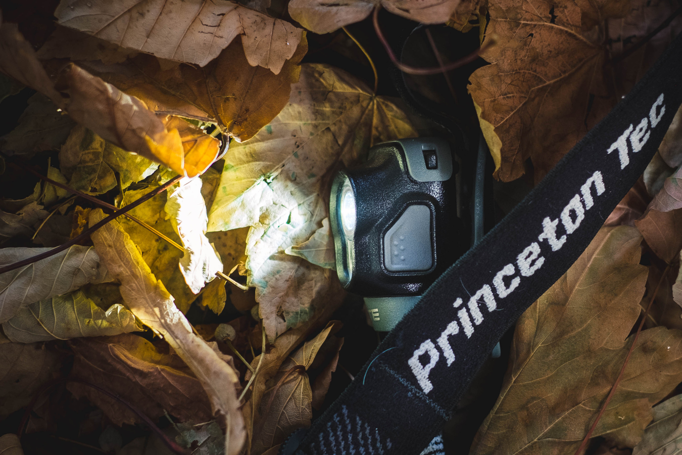 Headlamps are an invaluable tool for use in wildlife research and management. Princeton Tec head torches are extremely reliable in all conditions.