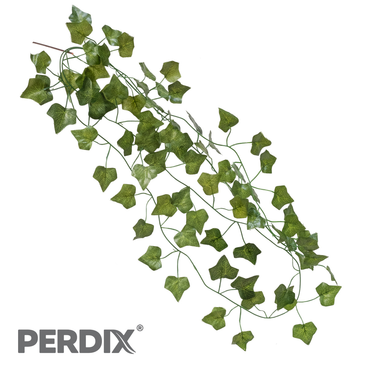 Ivy Camouflage for Trail Cameras — Perdix Wildlife Supplies