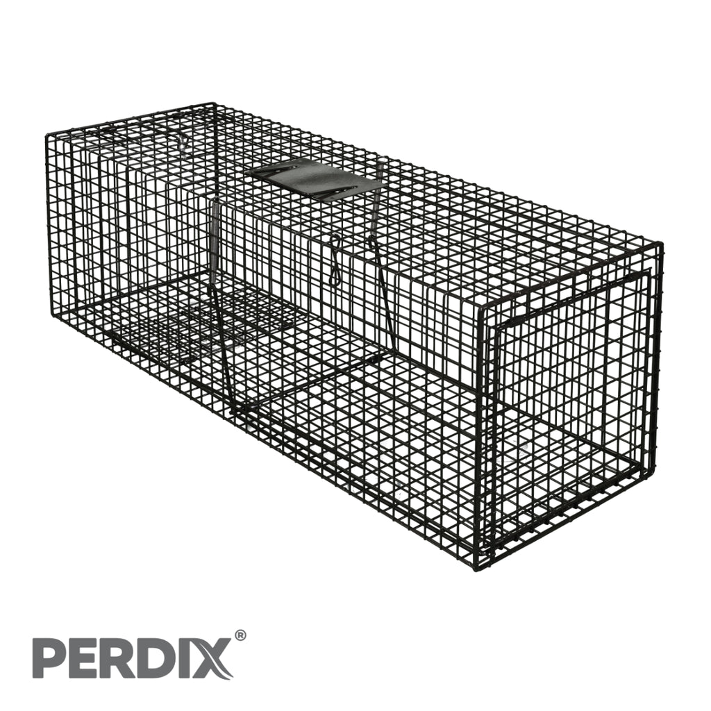 Professional Cage Traps & Live Capture Traps- Perdix Wildlife Supplies