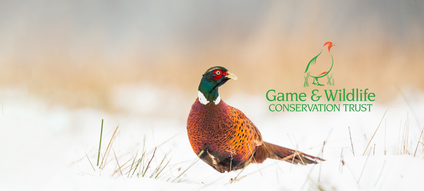 Game & Wildlife Conservation (GWCT) Shoot Biodiversity Tool App. Allows game bird shoot owners and managers to quickly and easily assess the biodiversity net gain of their shoots based on scientific research studies. 