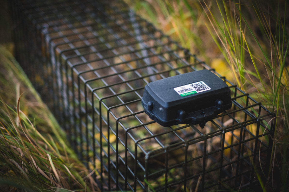 PERDIXPro remote animal trap monitoring system 