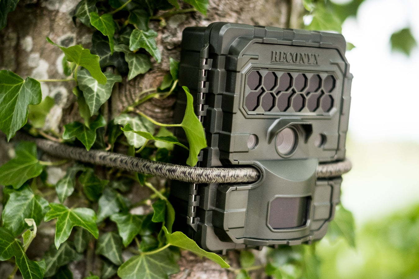 Complete range of Reconyx camera traps for wildlife observation & security available in the UK. Reconyx camera traps are built to last & feature packed. 4G mobile and cellular enabled cameras, standard SD card cameras, No glow, low glow and white flash.