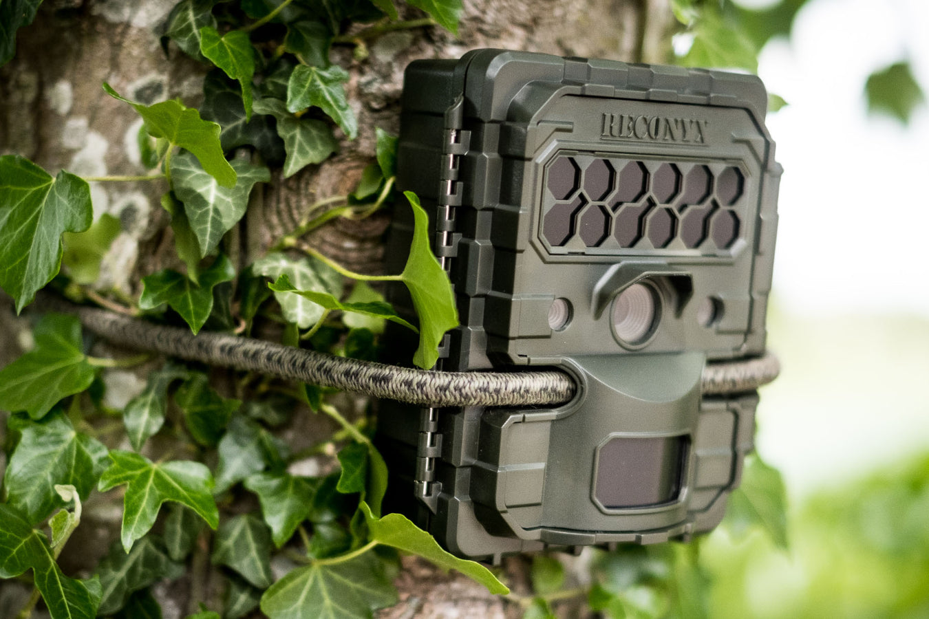 All Models & Makes of Camera Traps UK - Perdix Wildlife Supplies