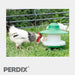 Ascot 2.5 kg Poultry & Chicken Feeder with chickens