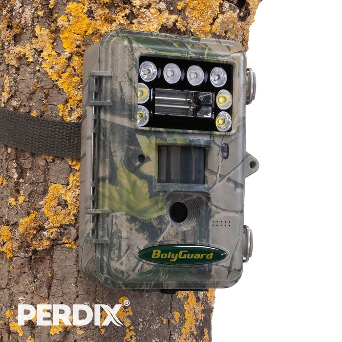 The Boly SG2060-T trail camera captures amazingly sharp pictures and videos, providing extra quality with dual focus during day and night time.