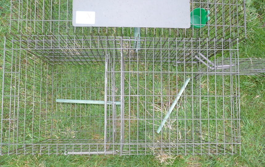 Combination Larsen Cage Trap (side-entry and top-entry)