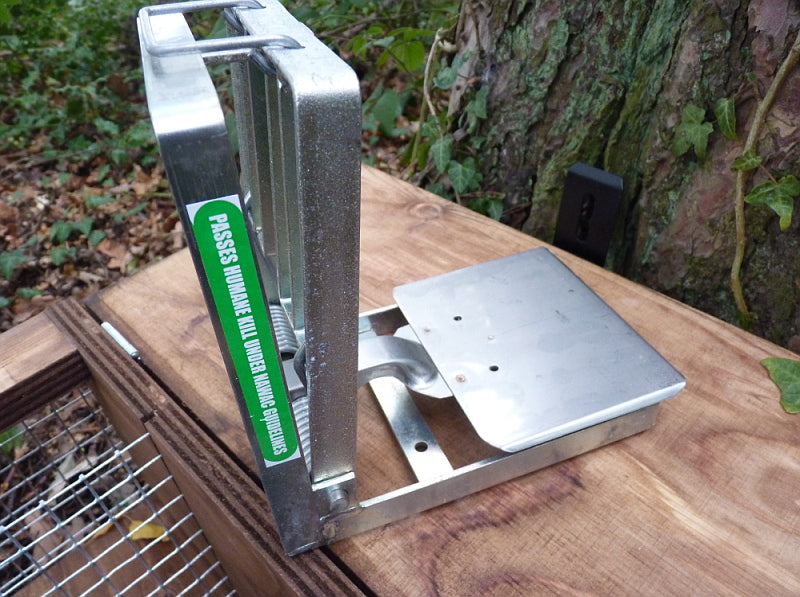 Doc Trap Box DoC 200 Stainless Spring Trap — Perdix Wildlife Supplies