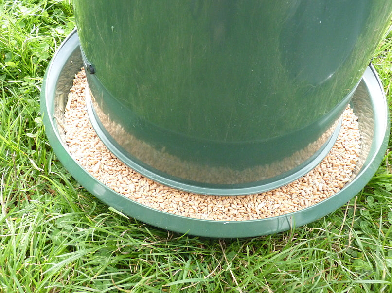Outdoor King Feeder with Wheat