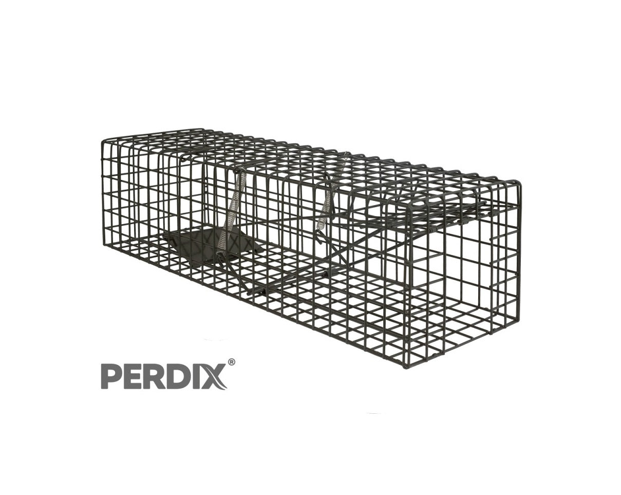 Cage Traps for American Mink