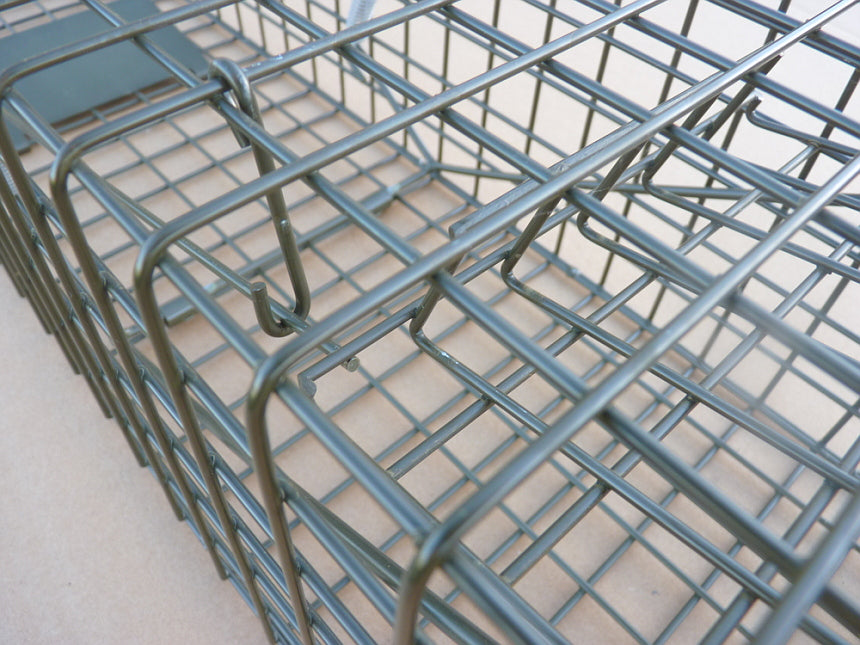 PERDIX Mink cage trap in set position