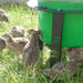 Partridge Covey Feeding from PERDIX Farmland Feeder in stand