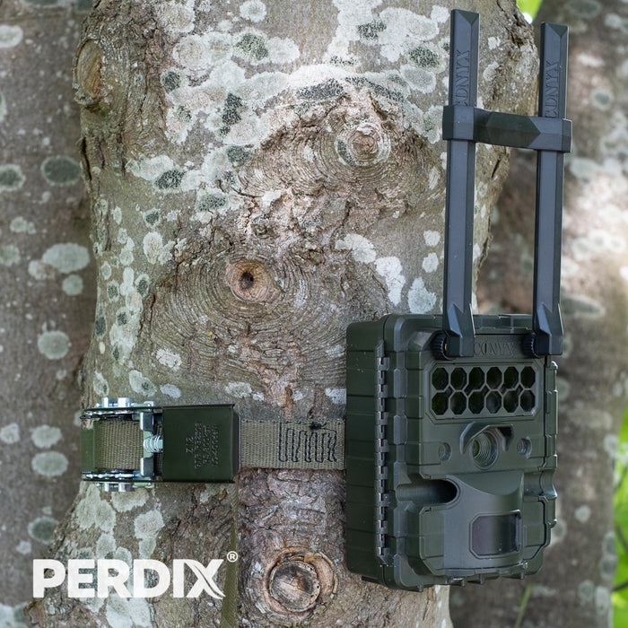 The PERDIX endless ratchet strap is ideal for quickly and securely mounting trail cameras especially on large trees. 