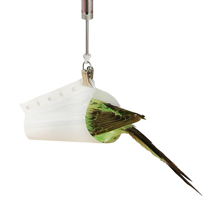 Small bird being weighed using a Pesola Bird Cone and Spring Balance