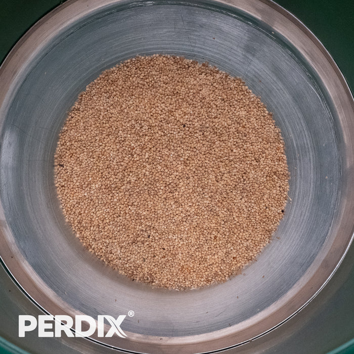 PERDIX Automatic Feeder - Small Seed Attachment