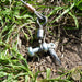 Stainless steel crane swivel attached to ground anchor using 5 mm D Shackle