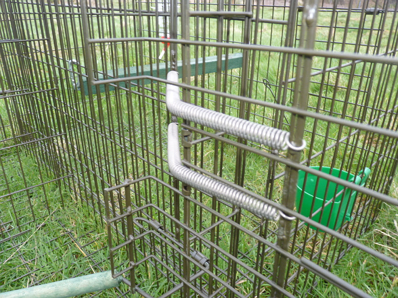 Two Stainless Steel extension springs on Perdix Larsen Trap (Side-entry compartment)