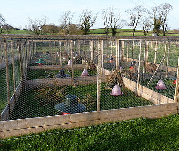Aviary netting on grey partridge rearing pens