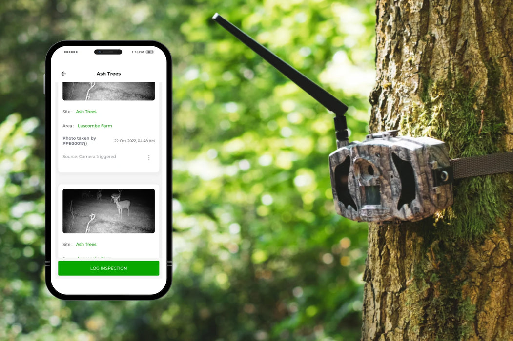 Bolyguard BolyGuard MG984G-36M 4G Camera - PerdixPro Enabled — Perdix Wildlife ...