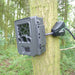 Mini Python Cable Locking Reconyx Camera to a Tree